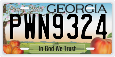 GA license plate PWN9324