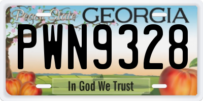GA license plate PWN9328
