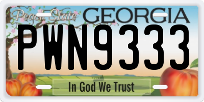 GA license plate PWN9333