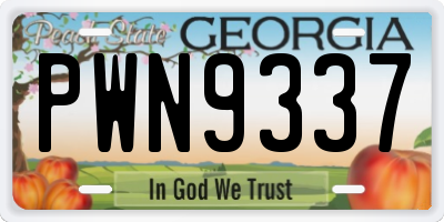 GA license plate PWN9337