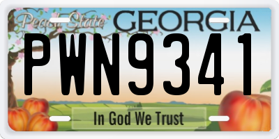 GA license plate PWN9341