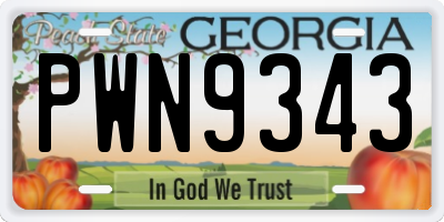 GA license plate PWN9343