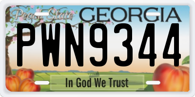 GA license plate PWN9344