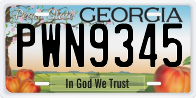 GA license plate PWN9345