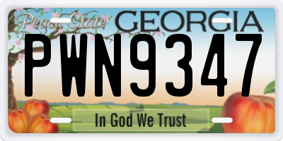 GA license plate PWN9347