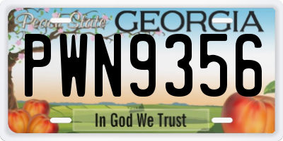 GA license plate PWN9356