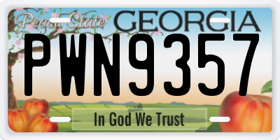 GA license plate PWN9357