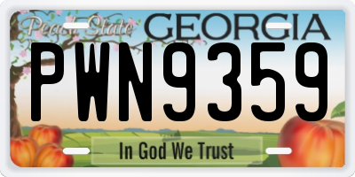 GA license plate PWN9359