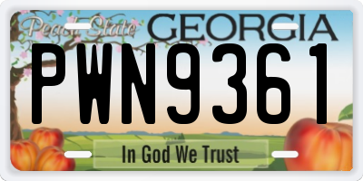 GA license plate PWN9361