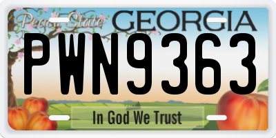 GA license plate PWN9363