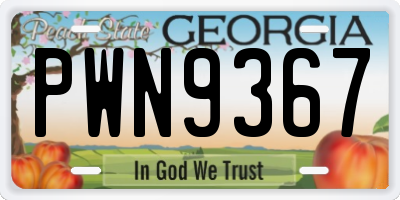 GA license plate PWN9367