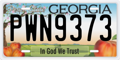 GA license plate PWN9373