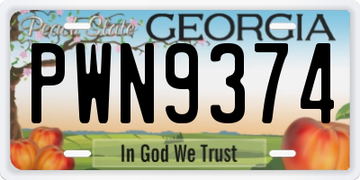 GA license plate PWN9374