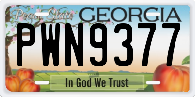 GA license plate PWN9377