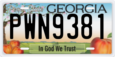 GA license plate PWN9381