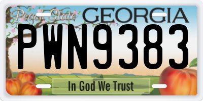 GA license plate PWN9383