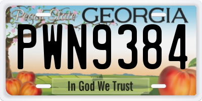 GA license plate PWN9384
