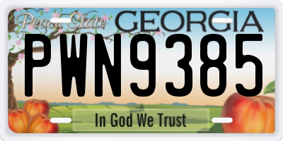 GA license plate PWN9385