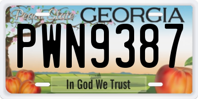GA license plate PWN9387