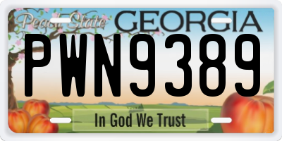 GA license plate PWN9389