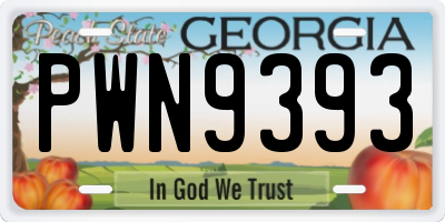 GA license plate PWN9393