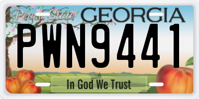 GA license plate PWN9441