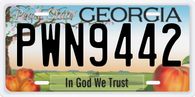 GA license plate PWN9442