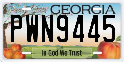 GA license plate PWN9445