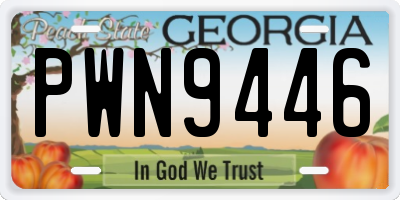 GA license plate PWN9446