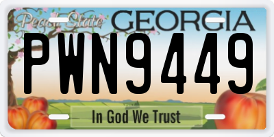 GA license plate PWN9449