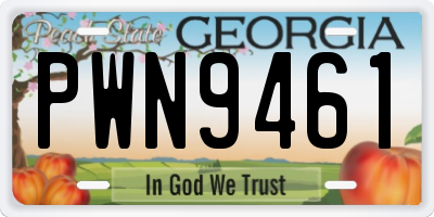 GA license plate PWN9461