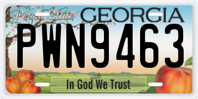 GA license plate PWN9463