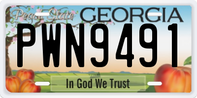 GA license plate PWN9491