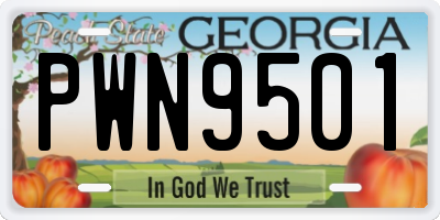 GA license plate PWN9501
