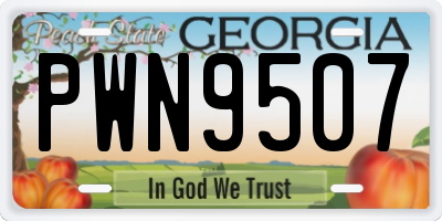 GA license plate PWN9507
