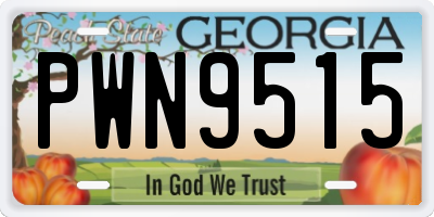 GA license plate PWN9515
