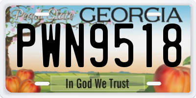 GA license plate PWN9518