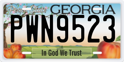 GA license plate PWN9523
