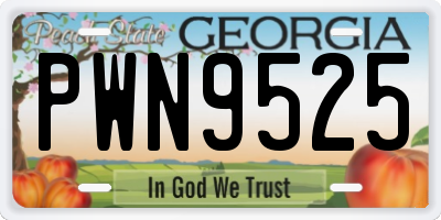 GA license plate PWN9525