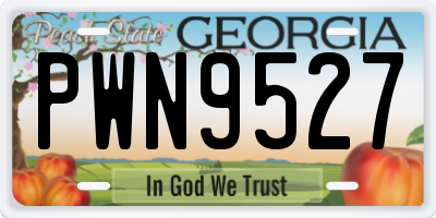 GA license plate PWN9527