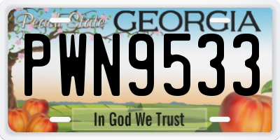 GA license plate PWN9533