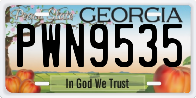 GA license plate PWN9535