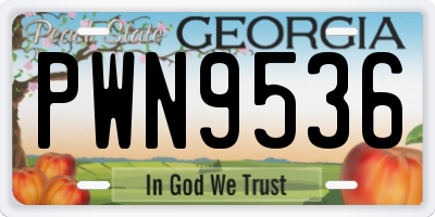 GA license plate PWN9536