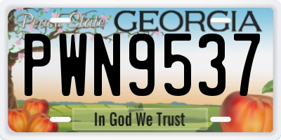 GA license plate PWN9537