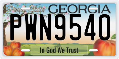 GA license plate PWN9540