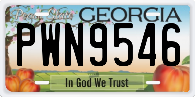 GA license plate PWN9546