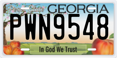 GA license plate PWN9548