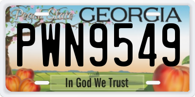 GA license plate PWN9549