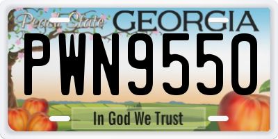 GA license plate PWN9550
