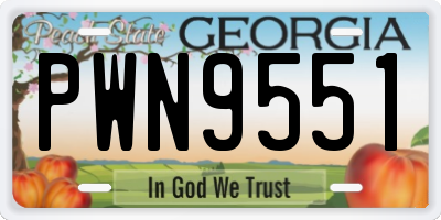 GA license plate PWN9551
